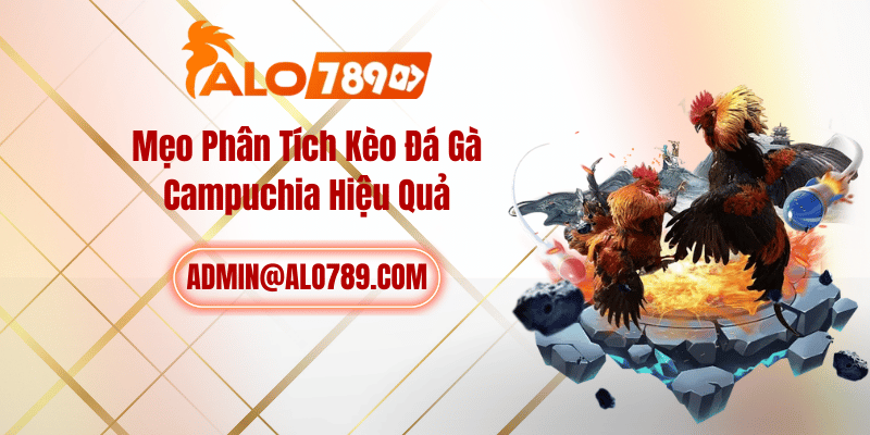 Mẹo Phân Tích Kèo Đá Gà Campuchia Hiệu Quả